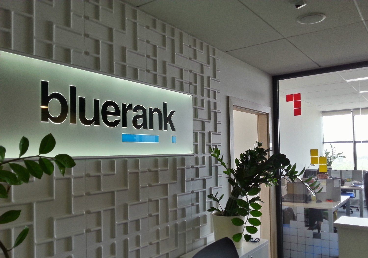 Jak wykorzystać Senuto do pracy w agencji? Use Study Bluerank i Senuto